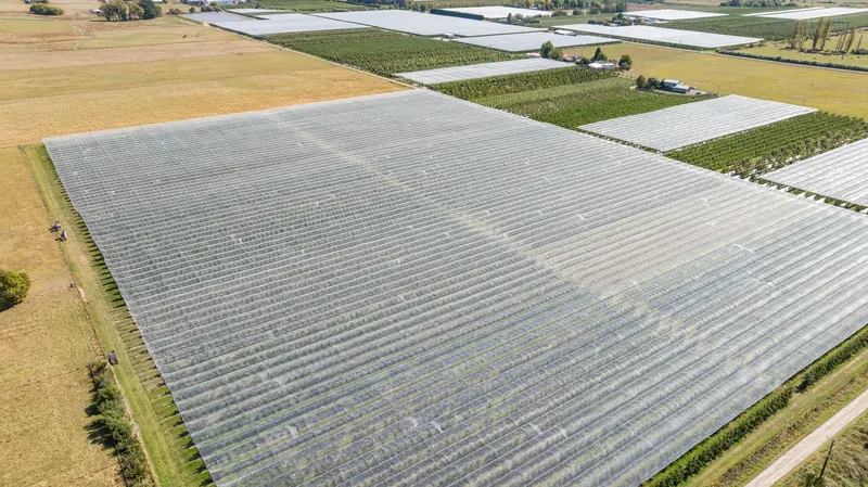 Aerial view of netted blocks